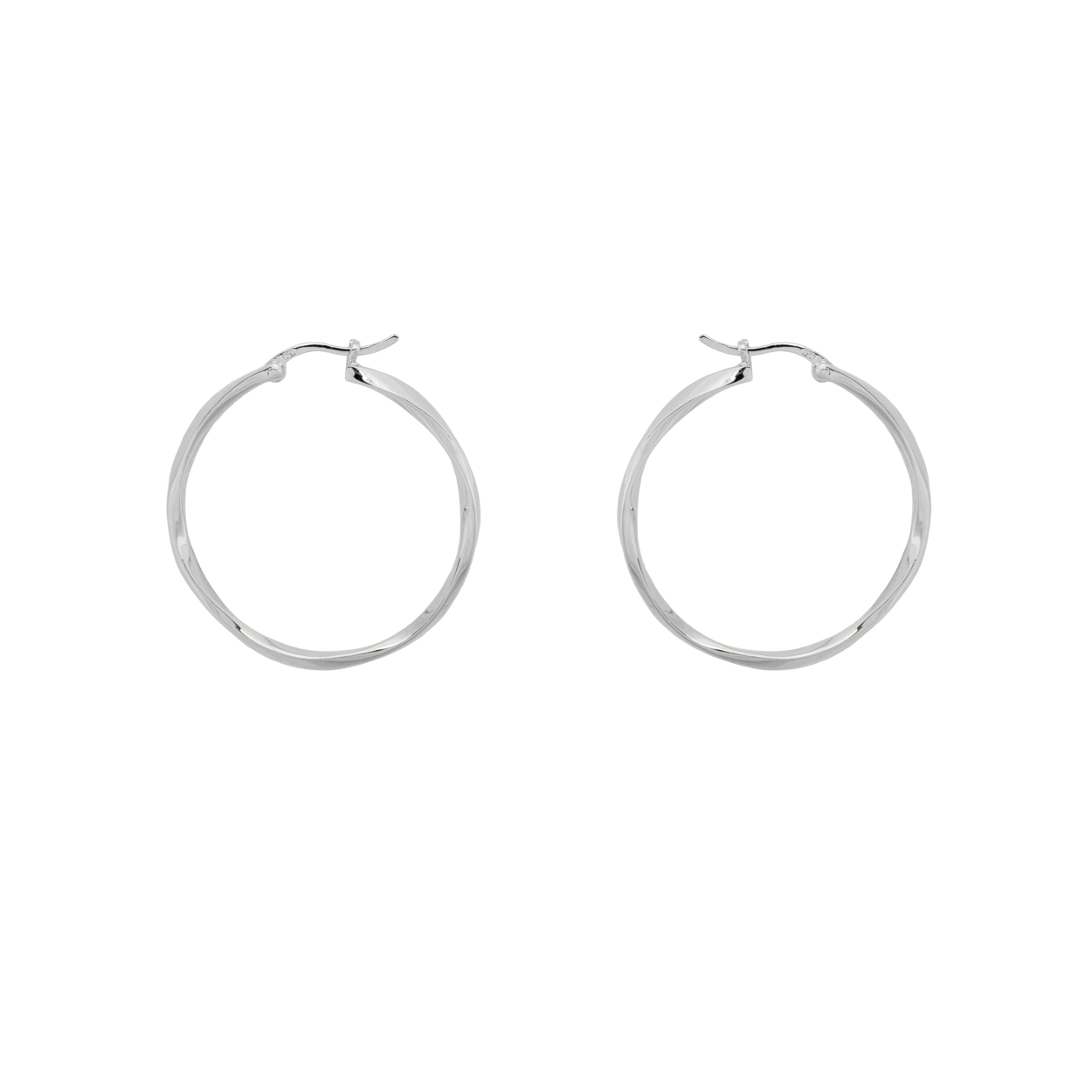 Schitterende oorringen - zilver