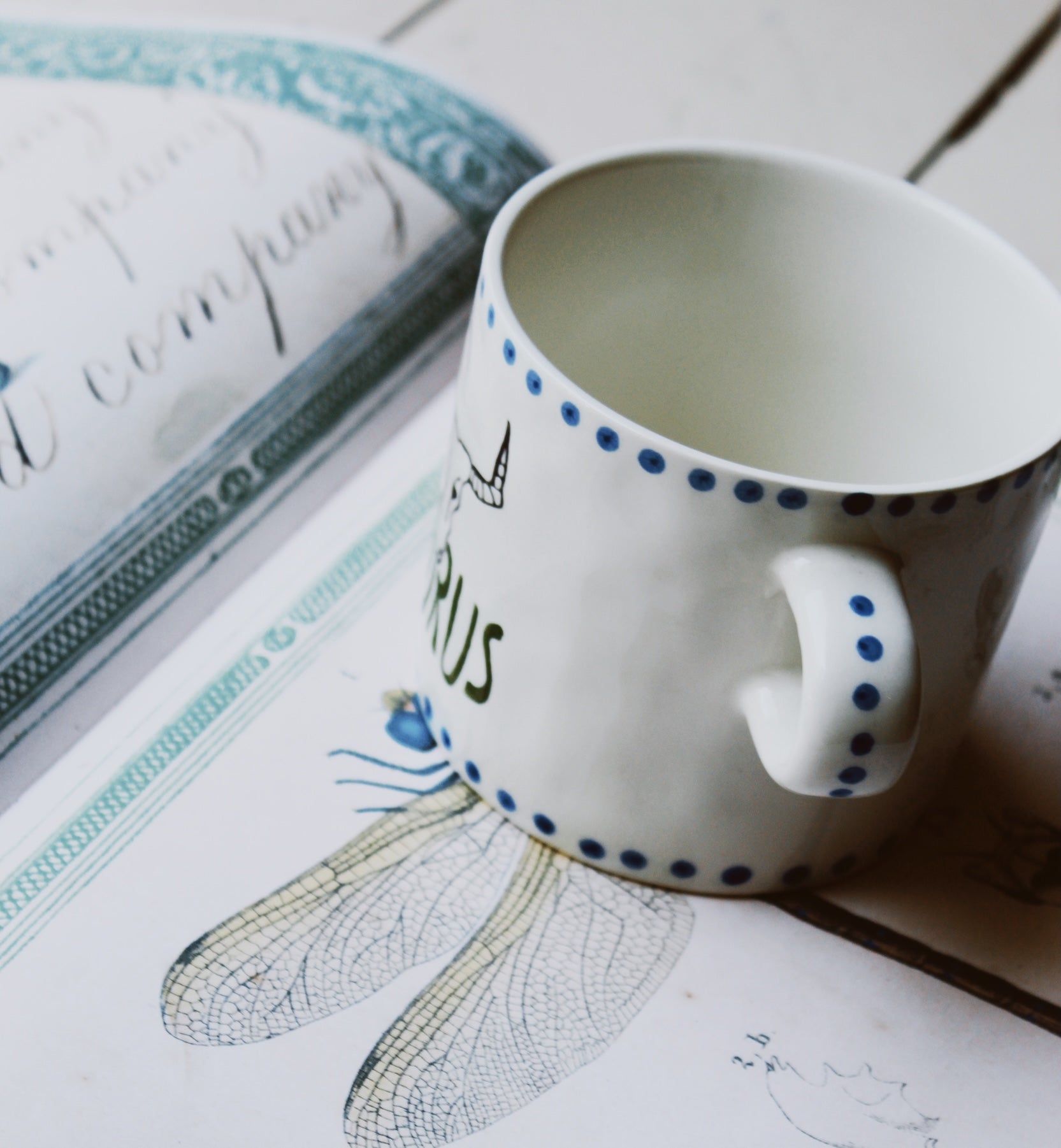 Zodiac tea mug taurus