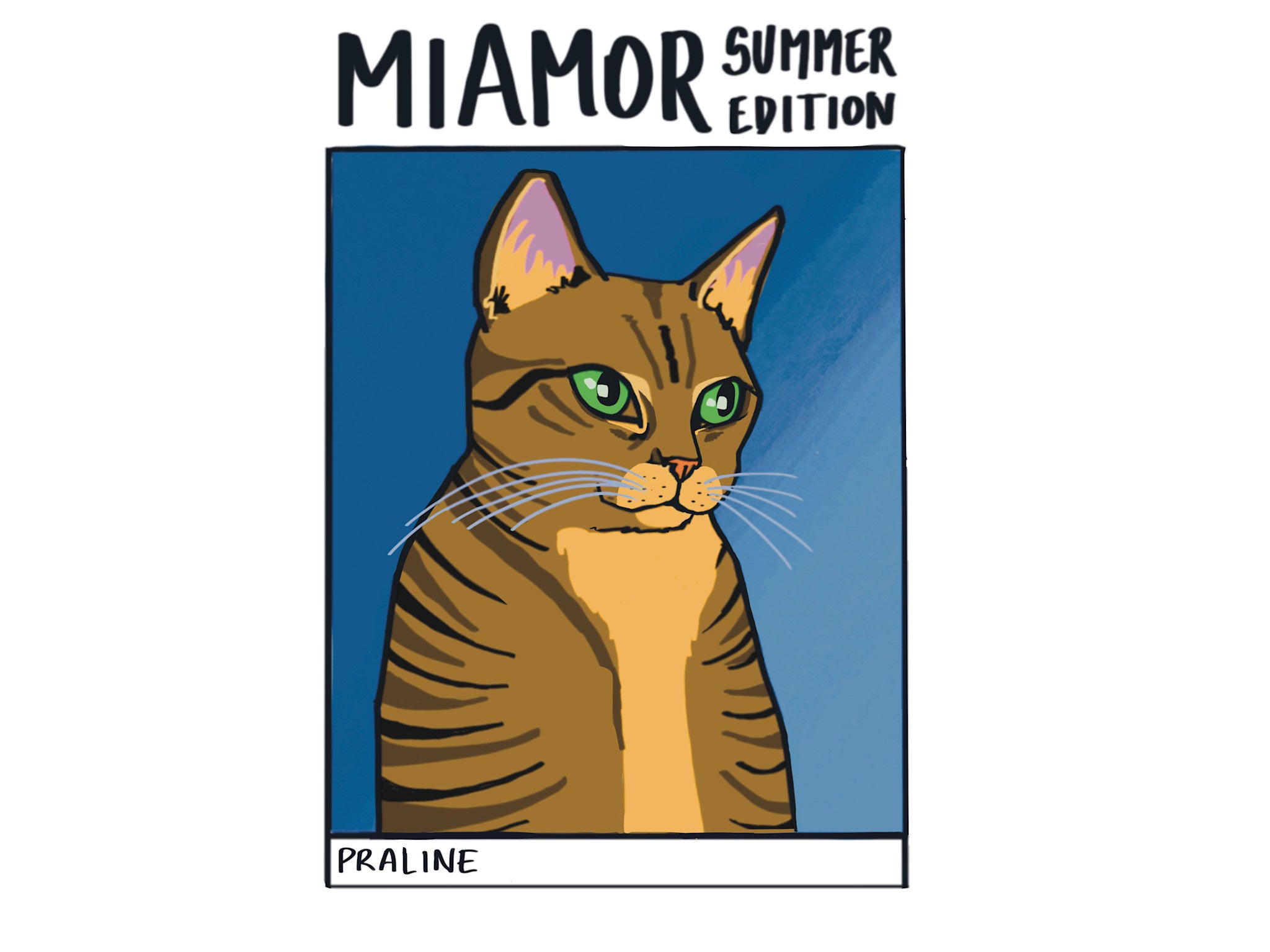 Miamor x Zomereditie - Praline de kat