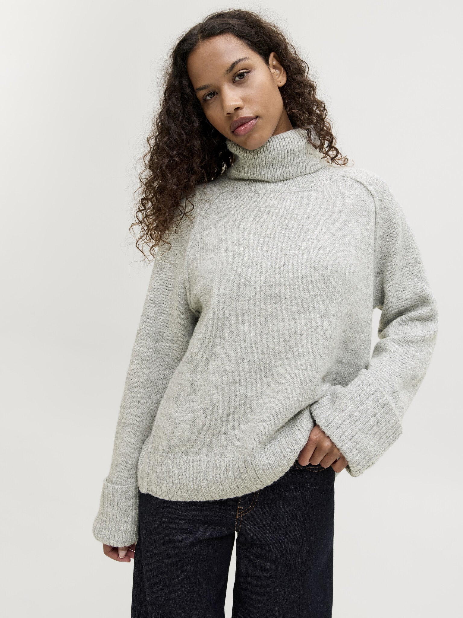 Pull à col roulé JXELLINORA - Gris clair chiné