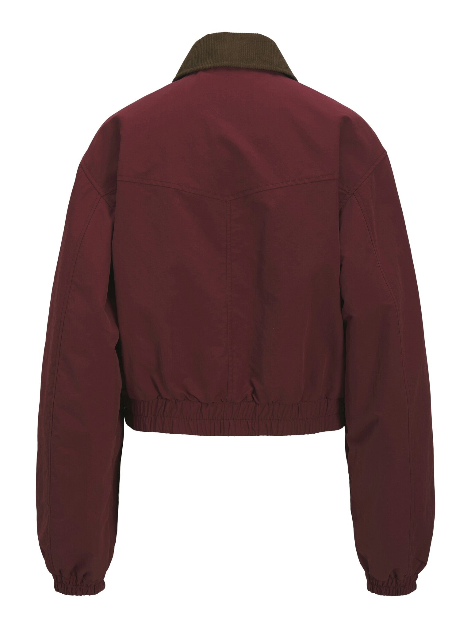 Blouson aviateur JXJUNE - Cabernet