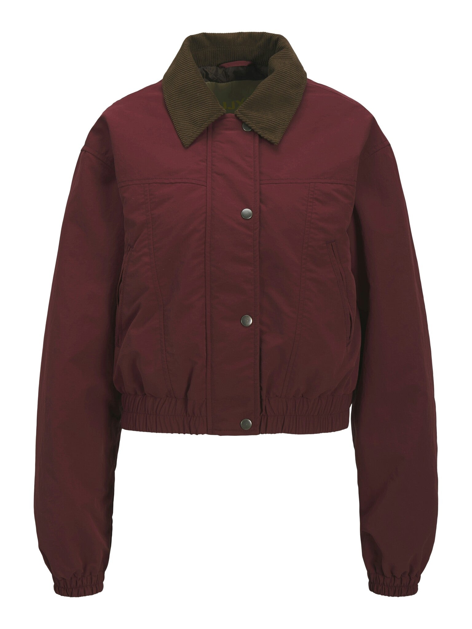 Blouson aviateur JXJUNE - Cabernet