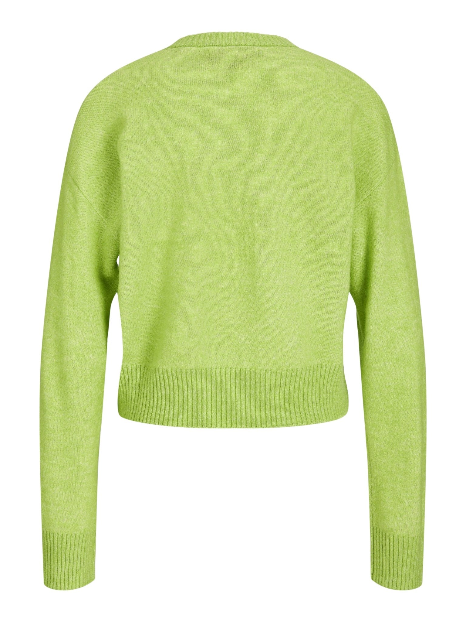 JXADINA crew neck knit Parrot Green