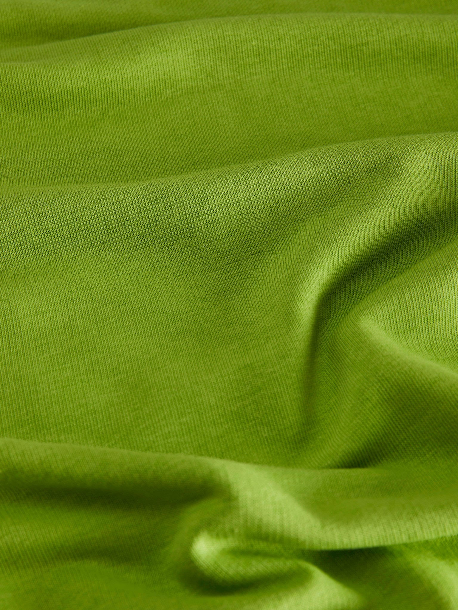 JXALFA LS CREW SWEATER- PARROT GREEN