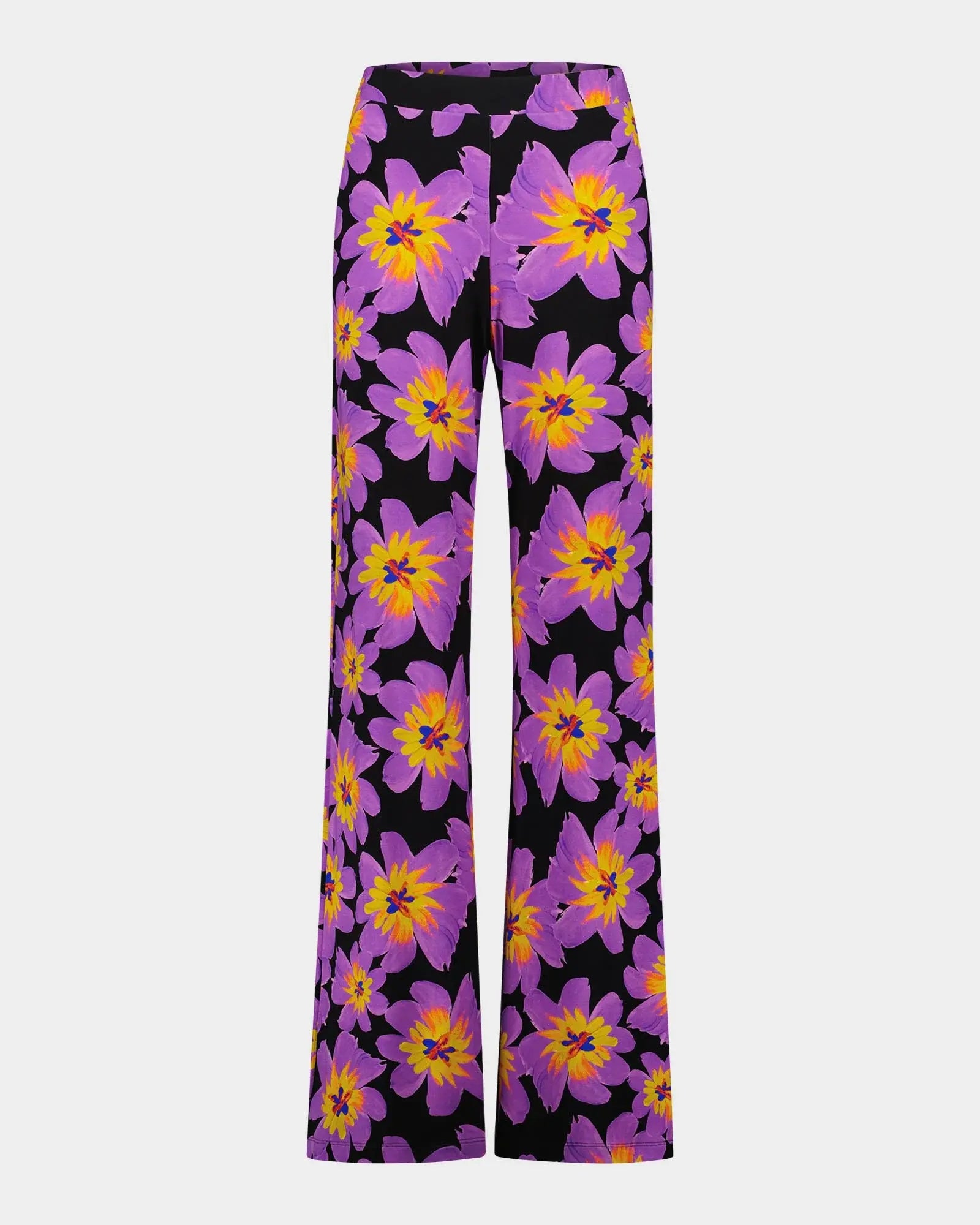 Josh Palazzos - Purple
